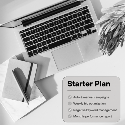 Marketplace Advertising Starter Plan: auto and manual campaigns, weekly bid optimization, negative keyword management, monthly performance report