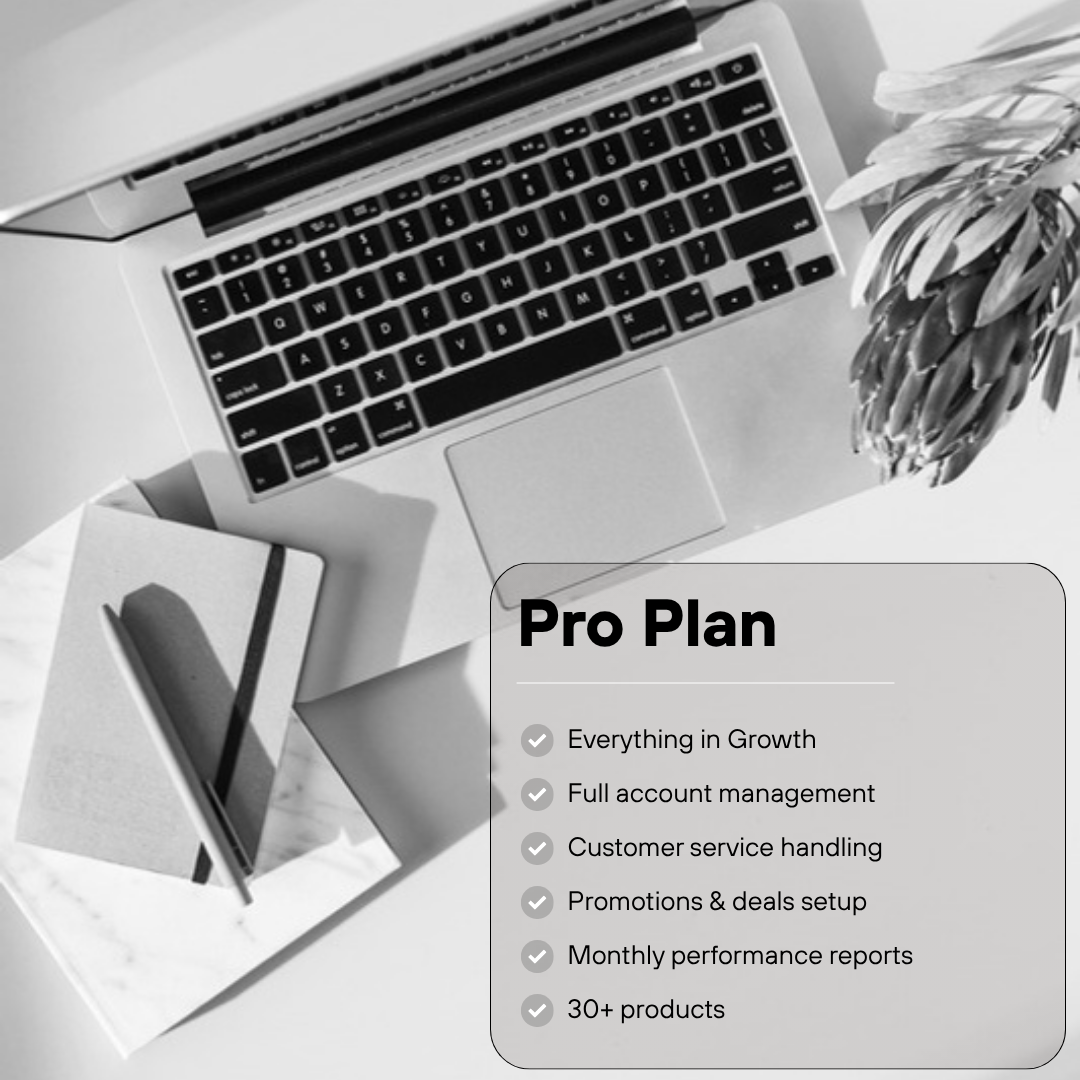 eBay Store Management Pro Plan: everything in Growth, full account management, customer service, promotions and deals, monthly performance reports, 30+ products