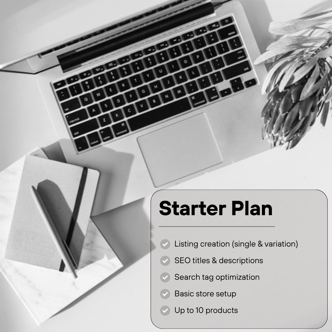 eBay Store Management Starter Plan: listing creation, SEO titles and descriptions, search tag optimization, basic store setup, up to 10 products